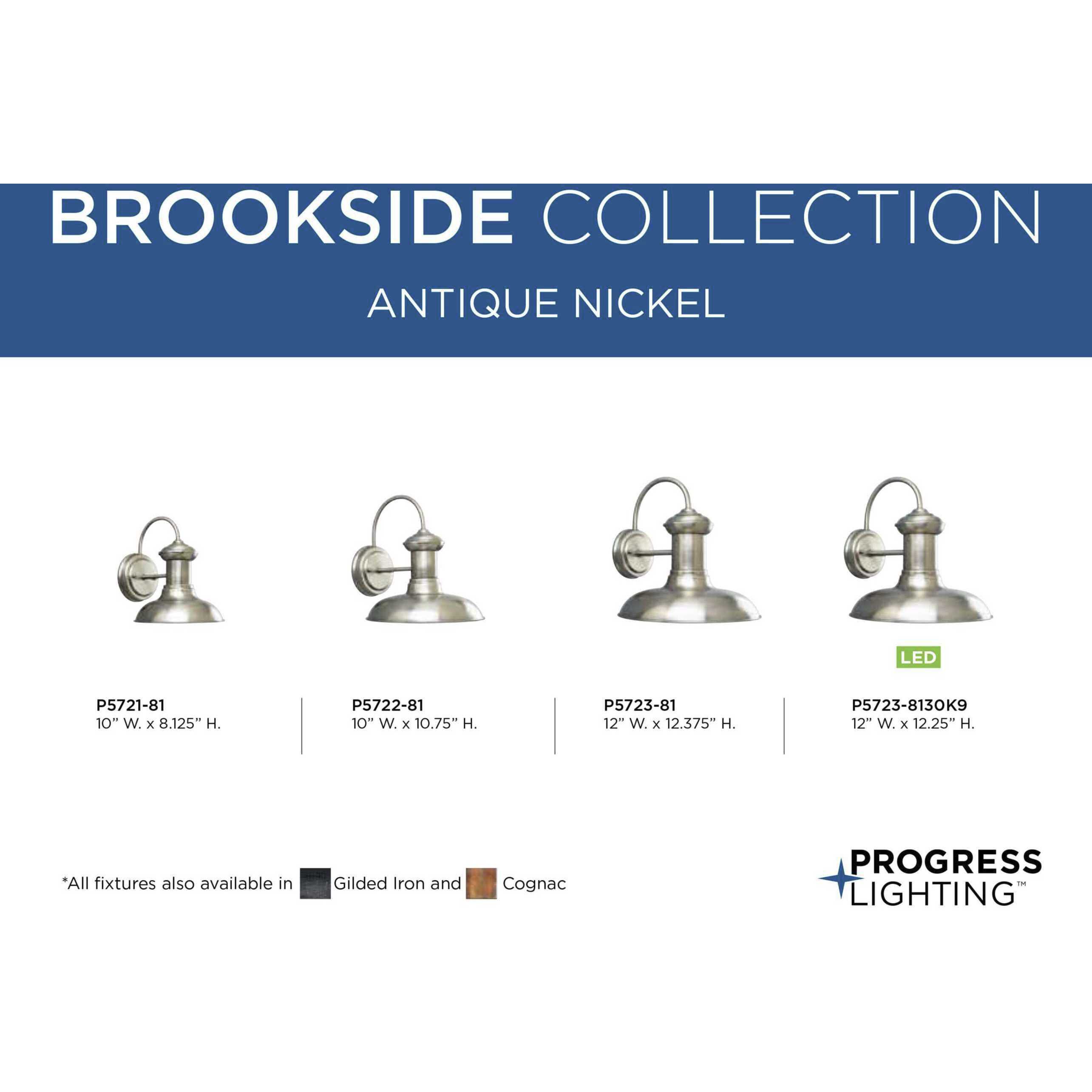 Brookside 1 Light 12 inch Antique Nickel Outdoor Wall Lantern in Standard, Large